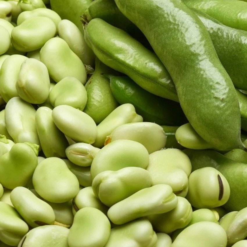 All_0007_Green Pea.jpg
