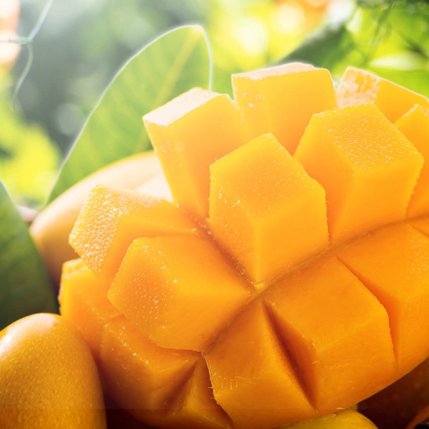 All_0008_mango.jpeg
